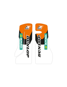 Gráficos protector de horquilla Dream 4 BLACKBIRD RACING 5538N