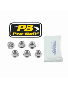 Tuerca de corona PRO BOLT SS6SPN8