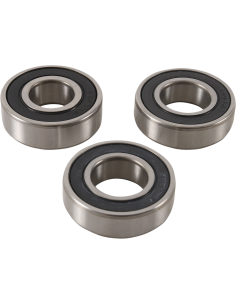 Rodamientos de la rueda PIVOT WORKS PWRWK-T14-000