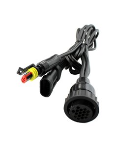 Cable principal diagnosis TEXA AP01