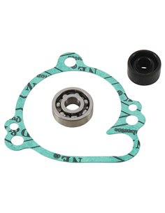 Hot Rods water pump repair...