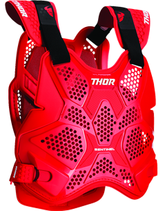 Sentinel Pro Guard THOR 2701-1309