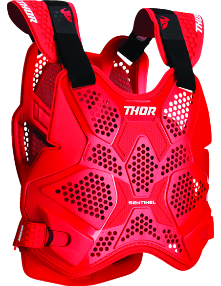 Sentinel Pro Guard THOR 2701-1309