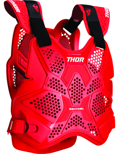 Sentinel Pro Guard THOR 2701-1310