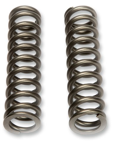 Muelle KYB 110240000901