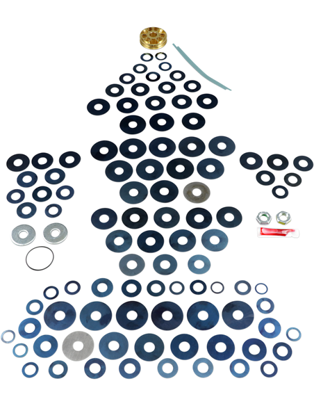 Kit Gold Valve de amortiguador RACE TECH SMGV 4603