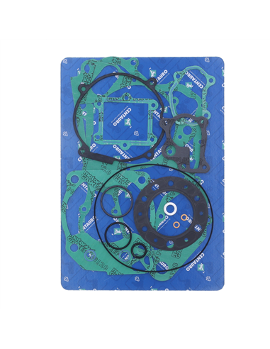 Kit completo de juntas CENTAURO 666A256FL