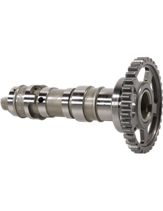 Árbol de levas de alto rendimiento HOT CAMS 1260-2