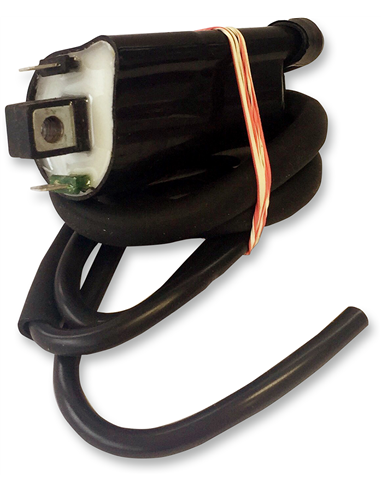 Bobina de encendido, Kawasaki RICK'S MOTORSPORT ELECTRIC 23-106