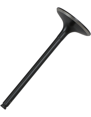 Válvula de motor Black Diamond™ KIBBLEWHITE 30-31162