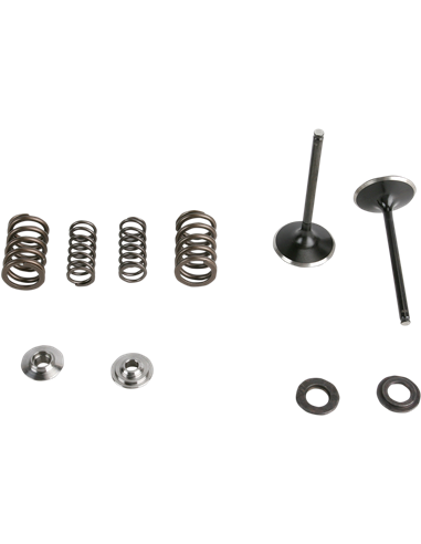Kits de conversión de válvulas y muelles de acero inoxidable KIBBLEWHITE 30-31210
