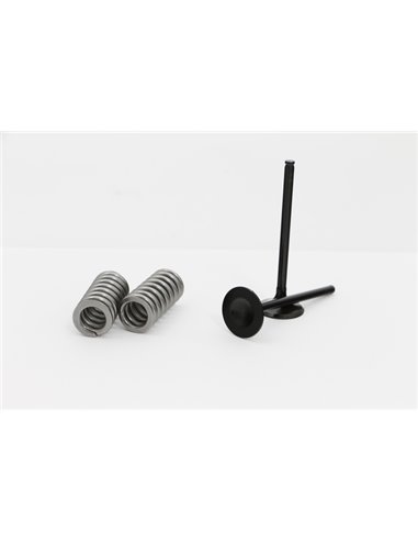 Kit de válvulas WOSSNER VKS4001AEXH