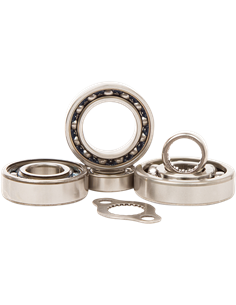 Kit de rodamientos de transmisión HOT RODS TBK0083