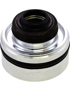 Vástago con retén completo amortiguador trasero KYB 120244600401