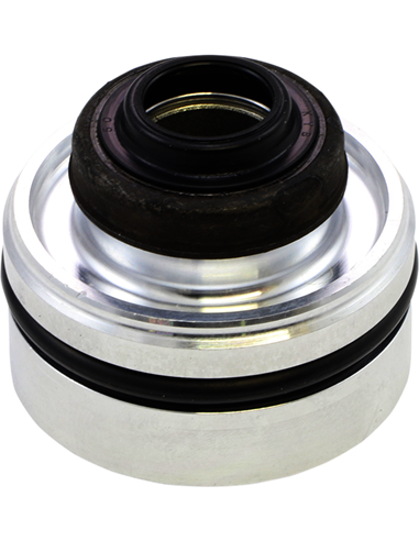 Vástago con retén completo amortiguador trasero KYB 120244600401