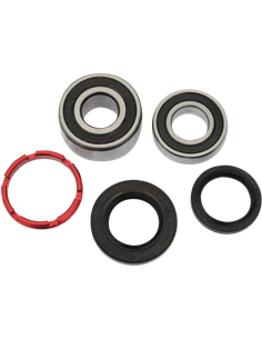 Kit retenes y rodamientos de rueda PIVOT WORKS PWRWK-H06-520