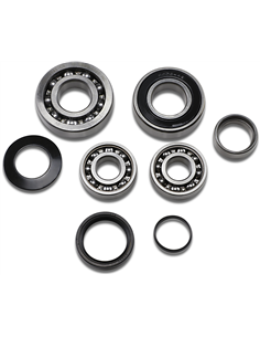 Kit de rodamientos de transmisión HOT RODS TBK0117