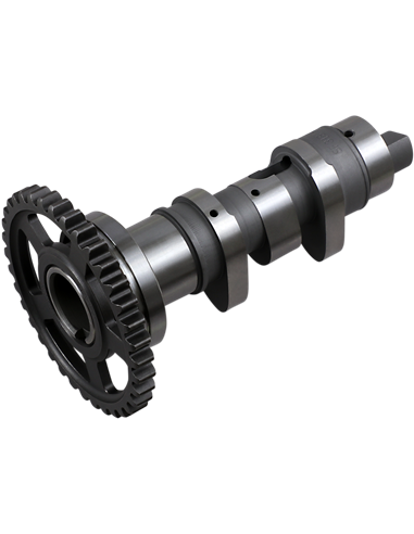 Árbol de levas de alto rendimiento HOT CAMS 1318-1