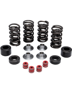 Kit de muelle de válvula KIBBLEWHITE 30-32400