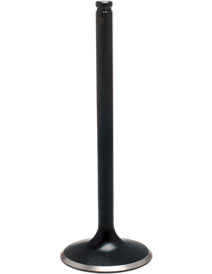 Válvula de motor Black Diamond™ KIBBLEWHITE 30-32413