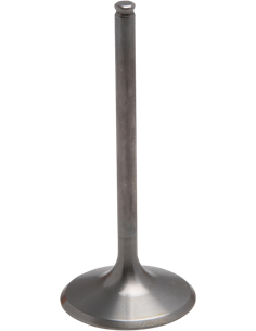 Válvula motor Tensilite® KIBBLEWHITE 30-32416T