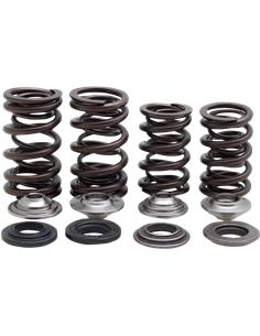 Kit de muelle de válvula KIBBLEWHITE 30-31600