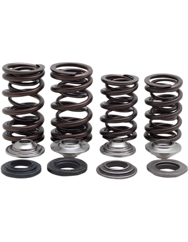 Kit de muelle de válvula KIBBLEWHITE 30-31600