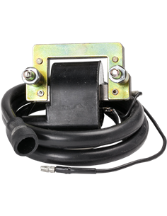 Bobina de encendido, Kawasaki RICK'S MOTORSPORT ELECTRIC 23-404