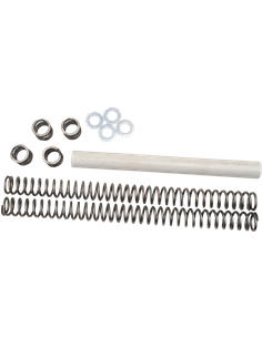 Kit muelle de horquilla dureza triple RACE TECH FRSP 3750K