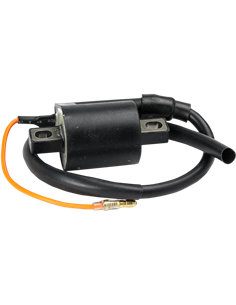 Bobina de encendido, Kawasaki RICK'S MOTORSPORT ELECTRIC 23-405