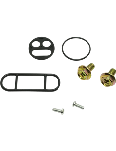 Kit de reparación de grifo de gasolina K&S TECHNOLOGIES 55-4001
