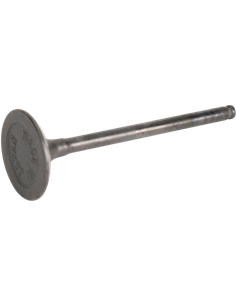 Válvula de motor de alto rendimiento WISECO WVES006