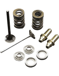 Válvula de motor White Diamond™ KIBBLEWHITE 80-8056H