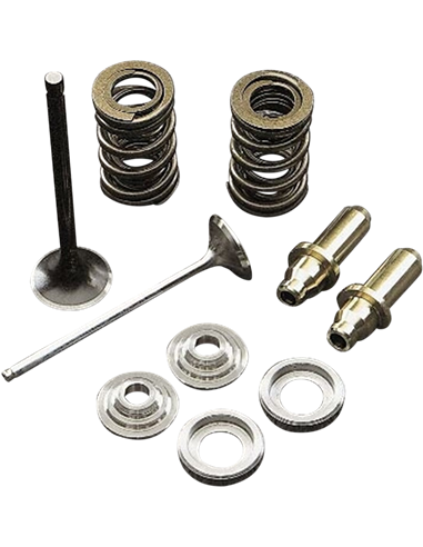 Válvula de motor White Diamond™ KIBBLEWHITE 80-8056H