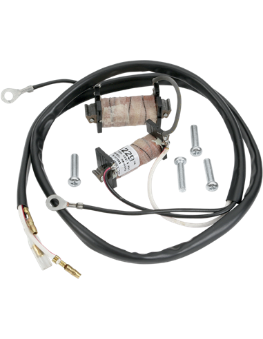 Kit de reparación de estátor RICK'S MOTORSPORT ELECTRIC 22-780