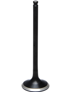 Válvula de motor Black Diamond™ KIBBLEWHITE 80-80077