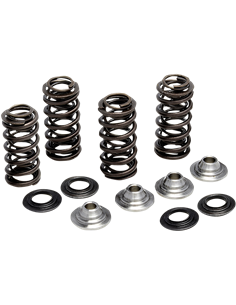 Kit muelle de recambio KIBBLEWHITE 80-81400