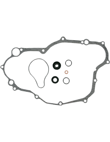 Kit de juntas para reparación de bomba de agua K&S TECHNOLOGIES 75-4004