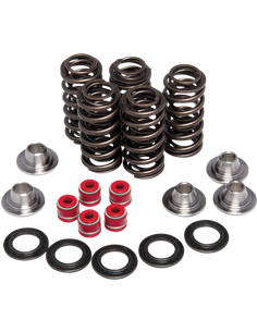 Kit de muelle de válvula KIBBLEWHITE 80-80206