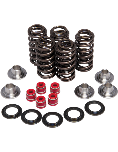 Kit de muelle de válvula KIBBLEWHITE 80-80206