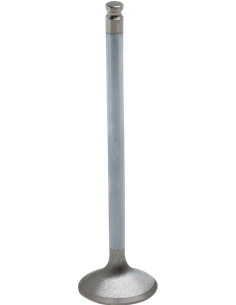 Válvula de motor White Diamond™ KIBBLEWHITE 80-80213H