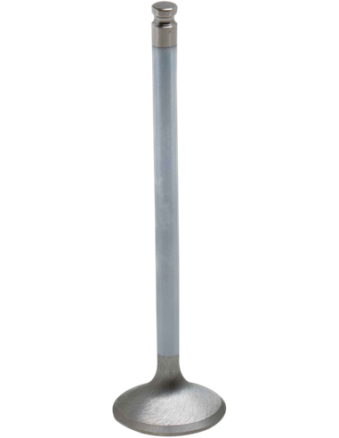 Válvula de motor White Diamond™ KIBBLEWHITE 80-80213H