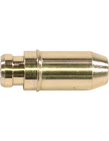 Guía de válvula KIBBLEWHITE 80-80230