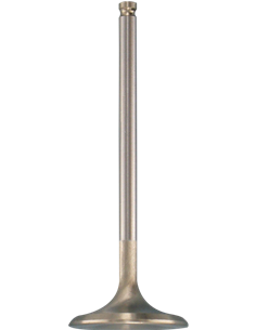 Válvula de motor White Diamond™ KIBBLEWHITE 80-80214H