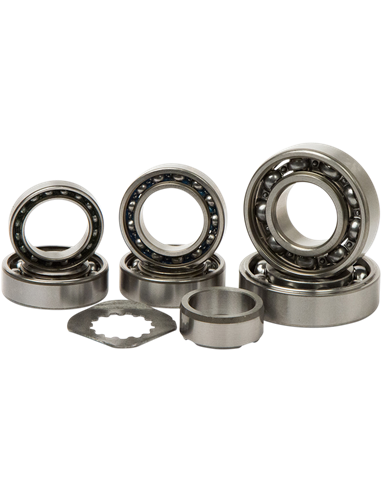 Kit de rodamientos de transmisión HOT RODS TBK0107