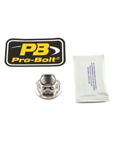 Tuerca de eje basculante en acero inoxidable PRO BOLT LSSNUT16150001Z3