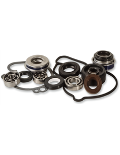 Kit reparación bomba de agua HOT RODS WPK0042