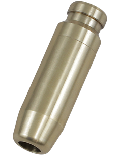 Guía de válvula KIBBLEWHITE 80-80780