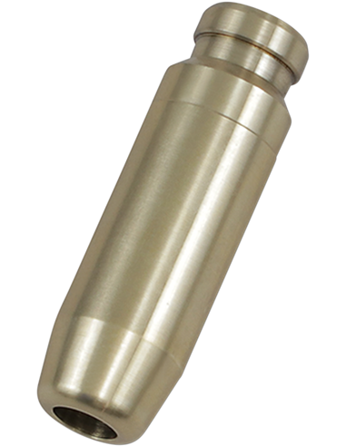 Guía de válvula KIBBLEWHITE 80-80780