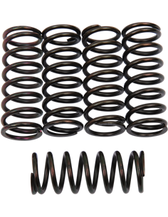 Kit de muelles de embrague BARNETT 501-55-05066